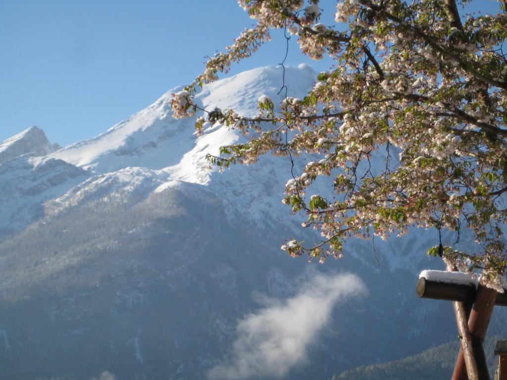 Hotel-Gasthof Nutzkaser Ramsau bei Berchtesgaden Exterior photo